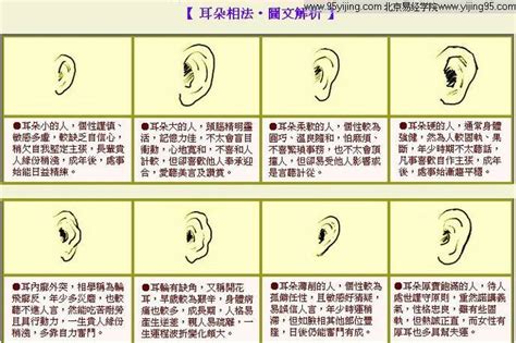 耳朵有洞面相|耳朵的形狀與命運圖解大全——解析10種不同耳型的人的性格命。